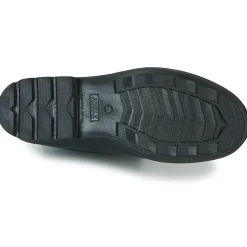 Aigle CARVILLE