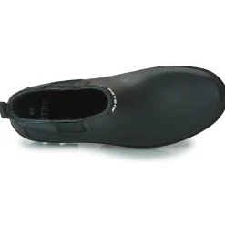 Aigle CARVILLE