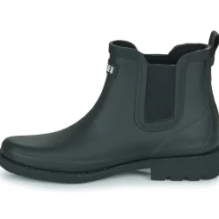 Aigle CARVILLE