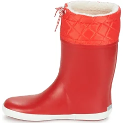 Aigle GIBOULEE