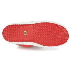 Aigle GIBOULEE