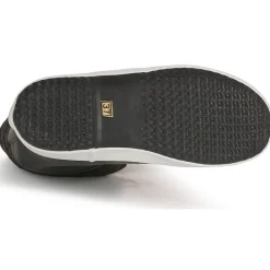 Aigle GIBOULEE