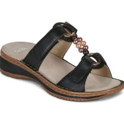 Ara Hawaii 2.0