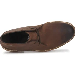 Barbour READHEAD