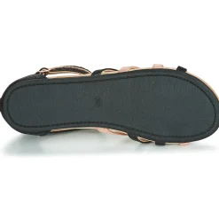 Bullboxer AED009
