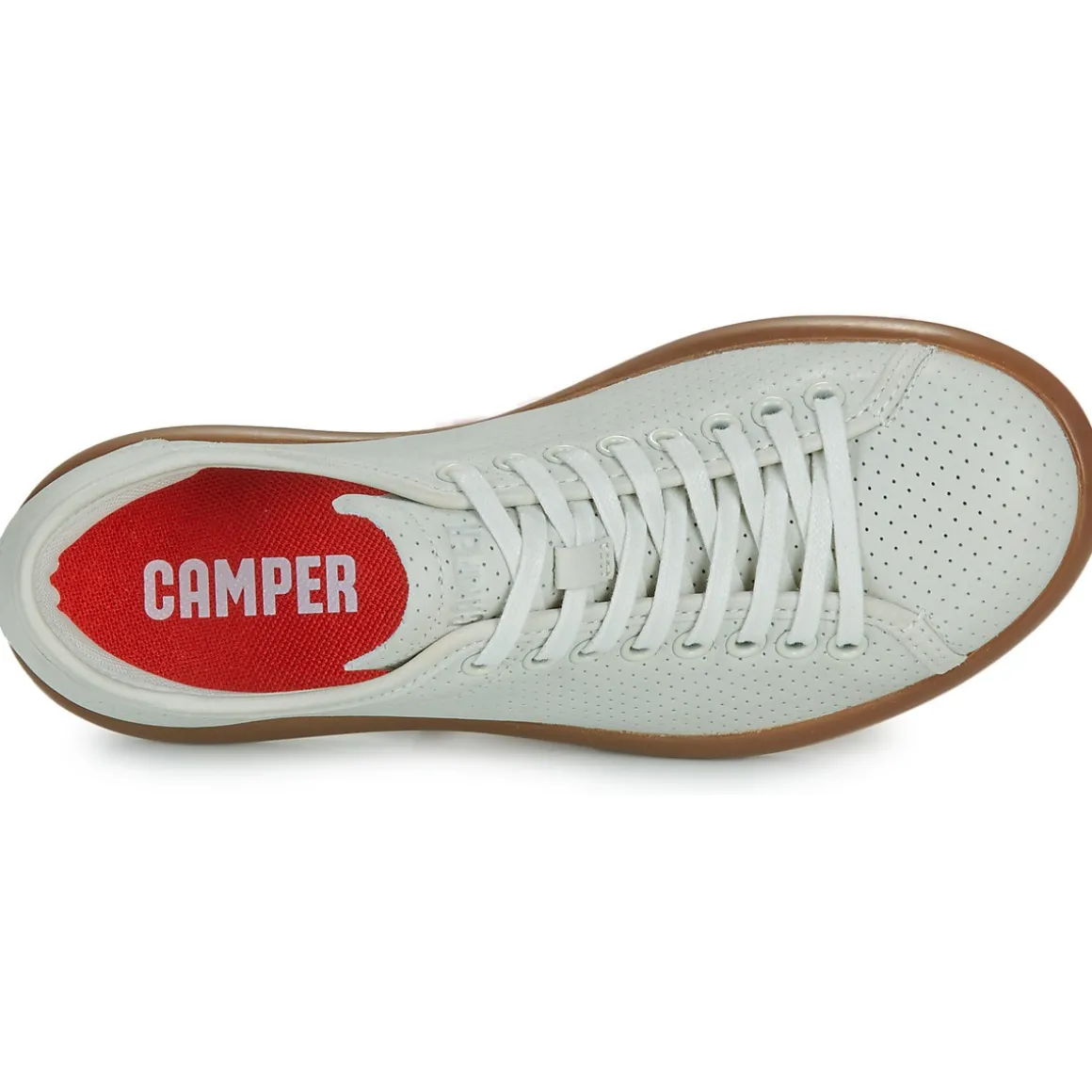 Camper PLLP