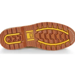 Caterpillar Holton