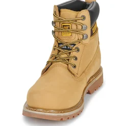 Caterpillar Holton