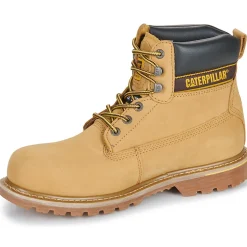 Caterpillar Holton