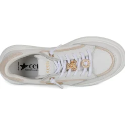 Cetti c-1401