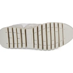 Cetti C-849