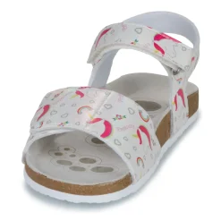 Chicco FINDY