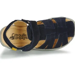Citrouille et Compagnie FILOLE