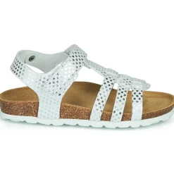Citrouille et Compagnie JANISOL
