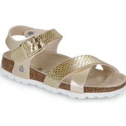 Citrouille et Compagnie MARLYNE