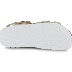 Citrouille et Compagnie MARLYNE