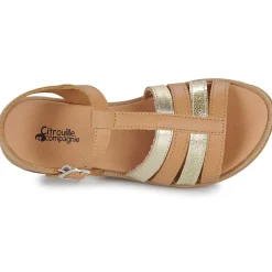 Citrouille et Compagnie MIMOSA