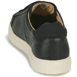 Clae BRADLEY