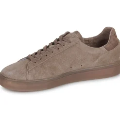 Clae BRADLEY