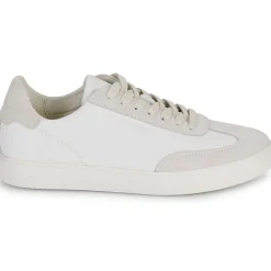 Clae DEANE