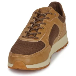 Clae JOSHUA