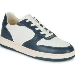 Clae MALONE