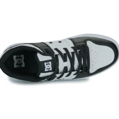 DC Shoes Manteca 4