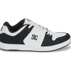 DC Shoes Manteca 4