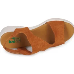 Dream in Green OLENE