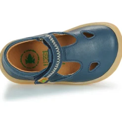 El Naturalista 5341