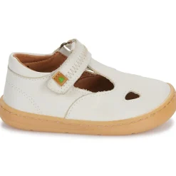 El Naturalista 5341