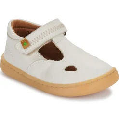 El Naturalista 5341