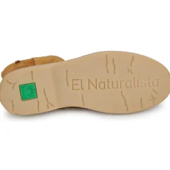 El Naturalista ARPEA N5901