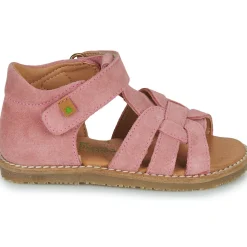 El Naturalista Atenas