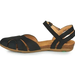El Naturalista STELLA N5207