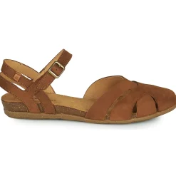 El Naturalista STELLA N5207