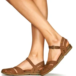 El Naturalista STELLA N5207