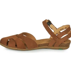 El Naturalista STELLA N5207
