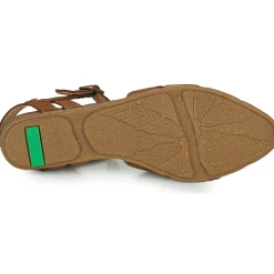 El Naturalista STELLA N5207