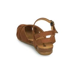 El Naturalista STELLA N5207