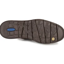 Fluchos CELTIC