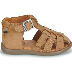 GBB CARIGO