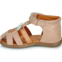 GBB DIMA