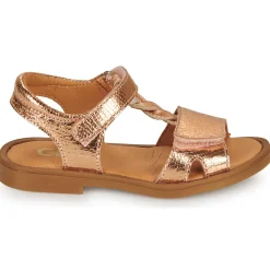 GBB FARENA