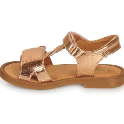 GBB FARENA