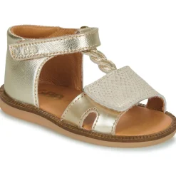GBB LORIE