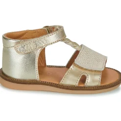 GBB LORIE
