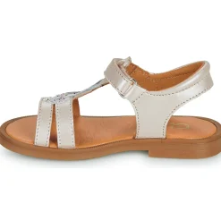 GBB MURIA