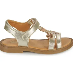 GBB MURIA