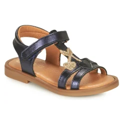 GBB MURIA